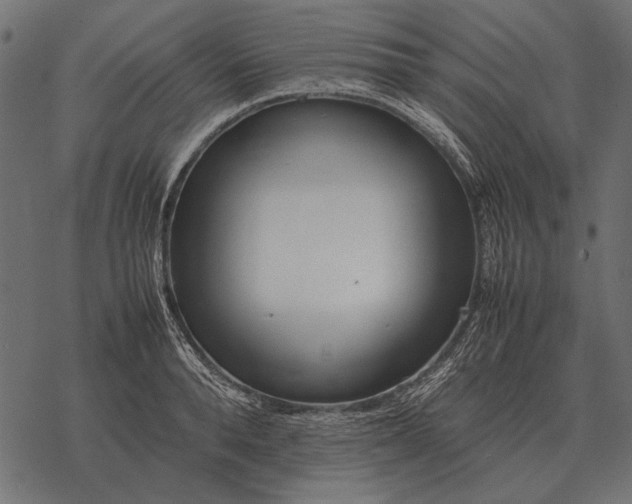 X0000077340896200611031752