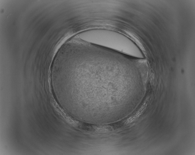 X0000077340899200611031752