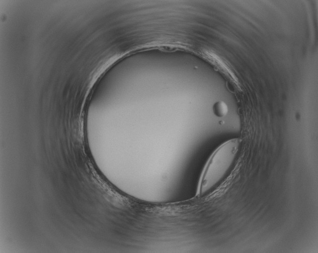 X0000077340900200611031752