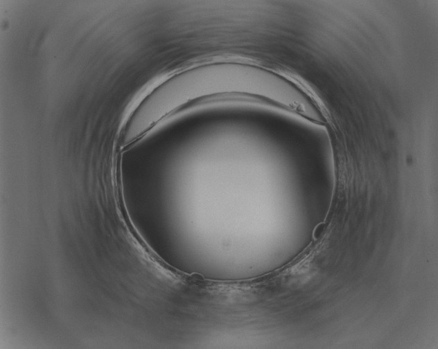 X0000077340910200611031752