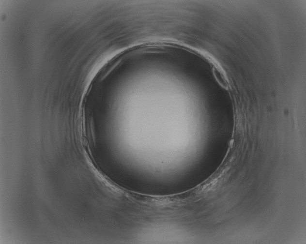 X0000077340911200611031752