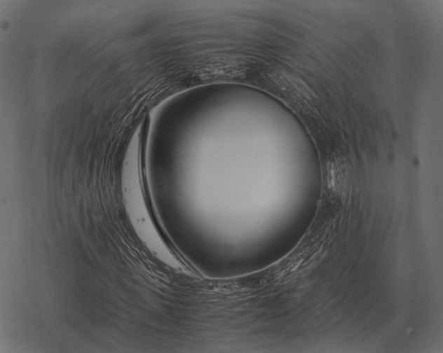 X0000077340915200611031751