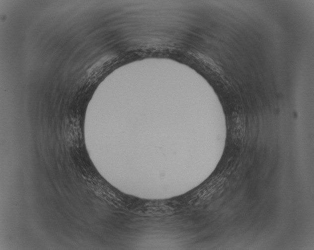 X0000077340918200611031752