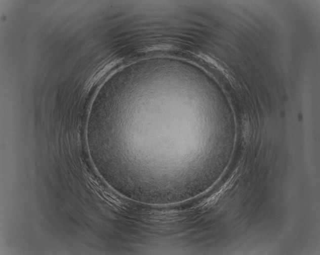 X0000077340921200611031752