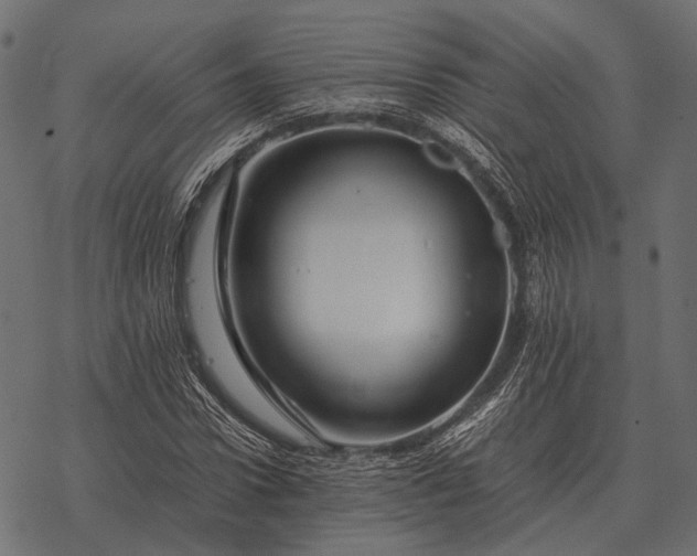X0000077340922200611031752