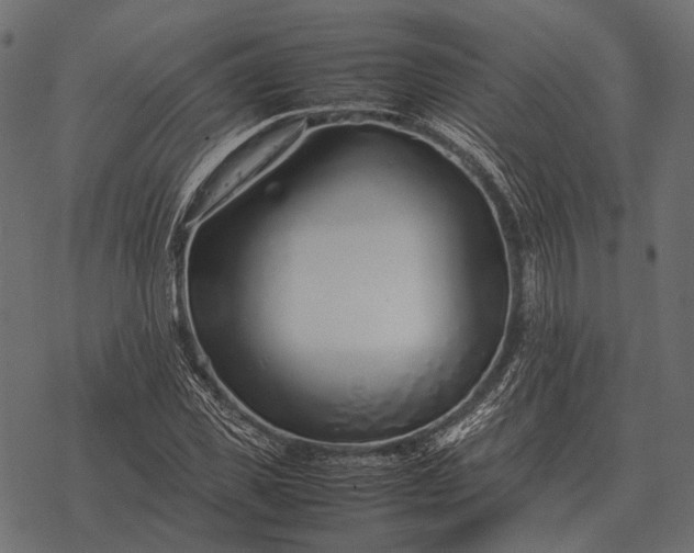 X0000077340925200611031752