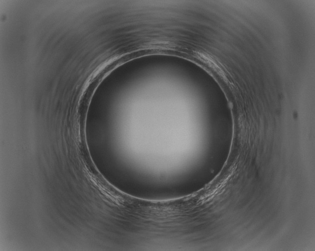 X0000077340931200611031752