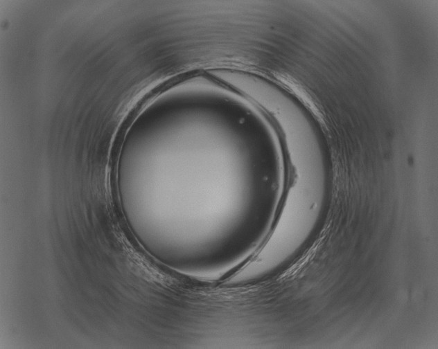 X0000077340932200611031752