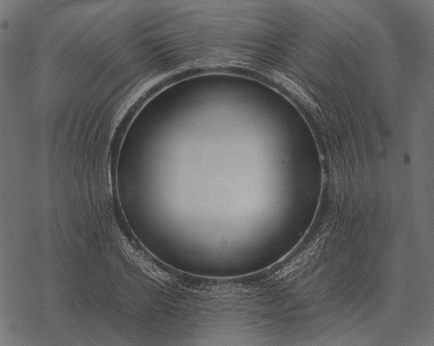 X0000077340934200611031752