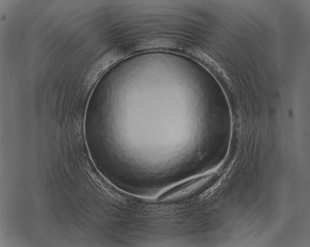 X0000077340937200611031752