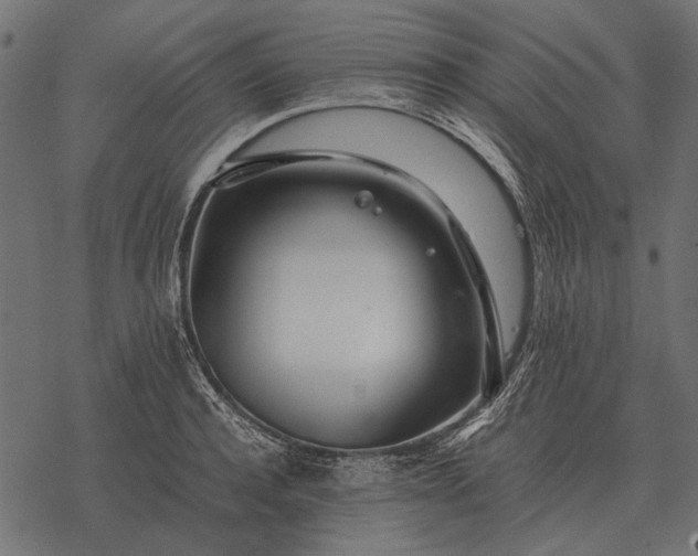 X0000077340944200611031752