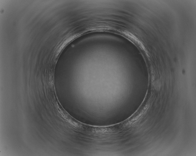 X0000077340945200611031752