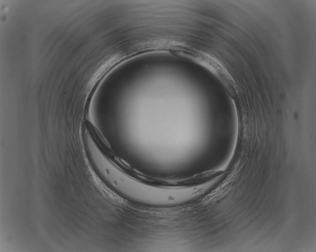 X0000077340946200611031752
