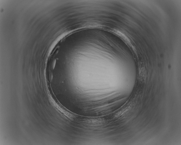 X0000077340947200611031752