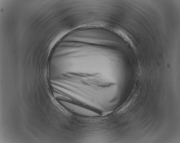 X0000077340952200611031752