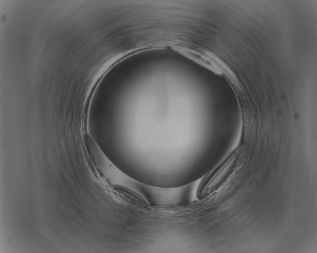 X0000077340956200611031752