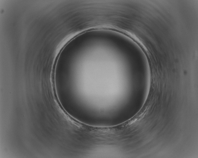 X0000077340959200611031752