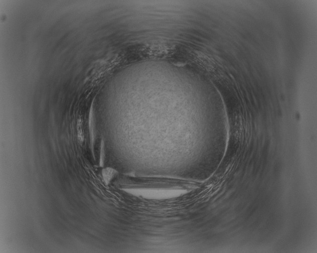 X0000077340962200611031751