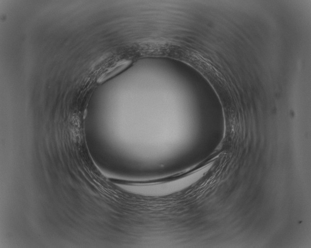X0000077340964200611031751