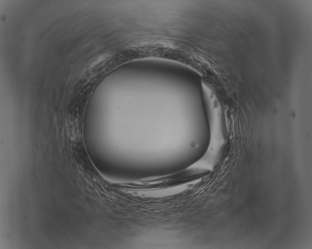 X0000077340965200611031751
