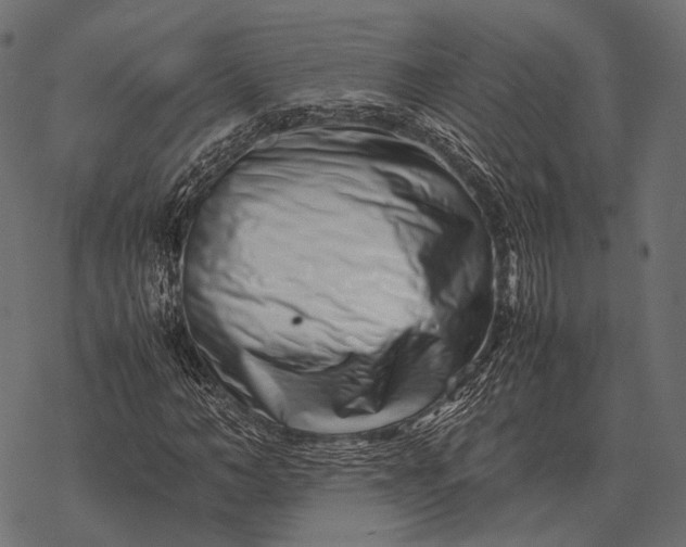 X0000077340966200611031751