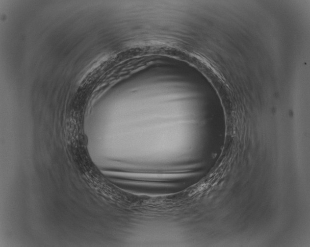 X0000077340967200611031751