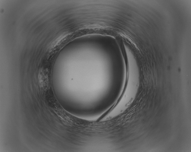 X0000077340968200611031751