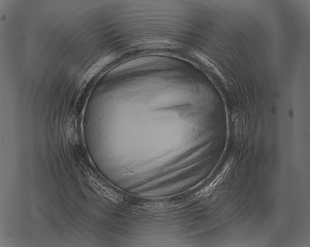 X0000077340970200611031751