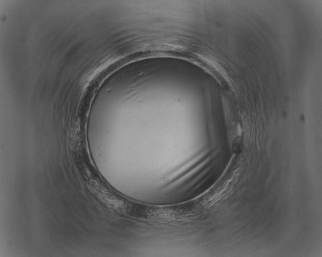 X0000077340971200611031751