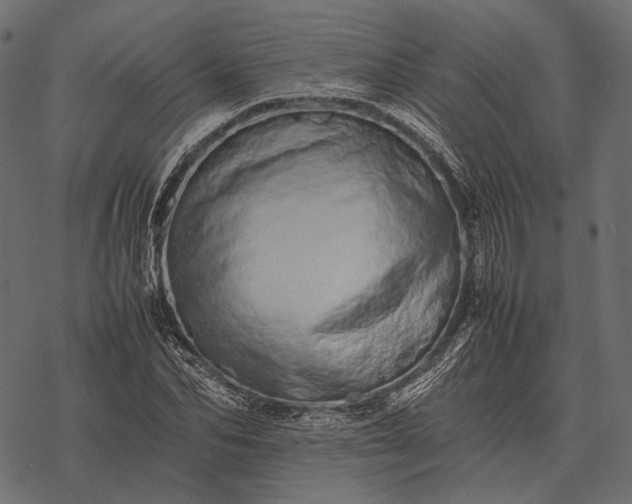 X0000077340974200611031751