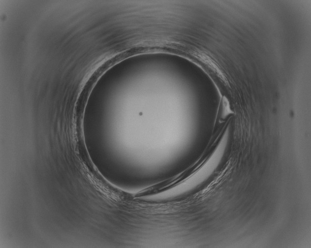 X0000077340976200611031751