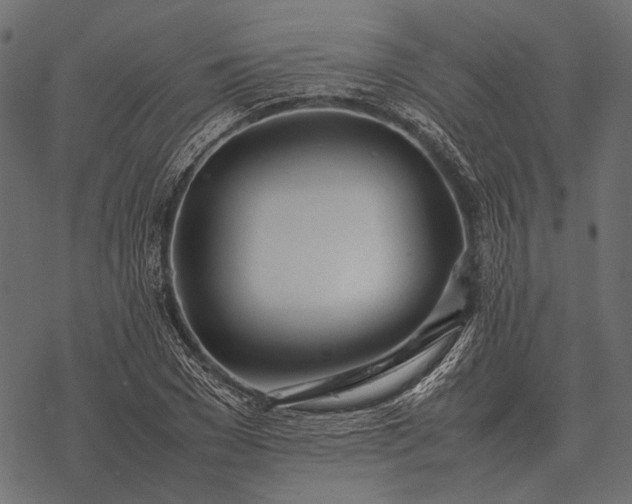 X0000077340977200611031751