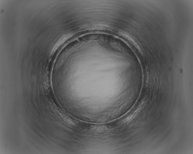 X0000077340978200611031751