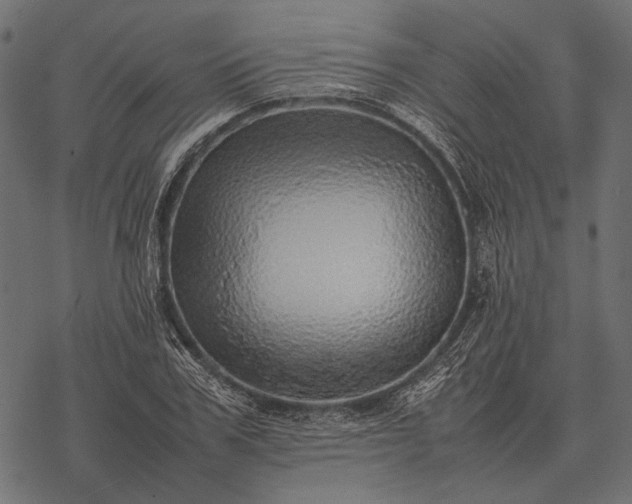 X0000077340979200611031751