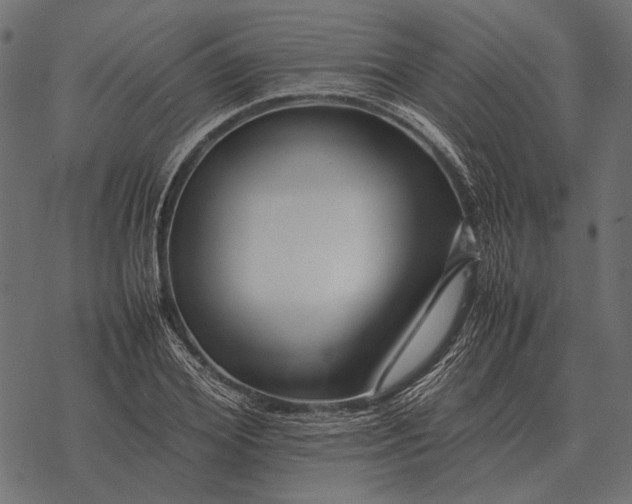 X0000077340980200611031751