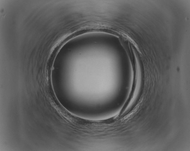 X0000077340981200611031751
