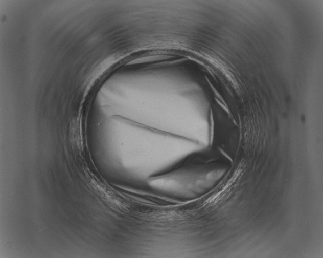 X0000077340982200611031751