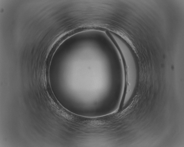 X0000077340984200611031751
