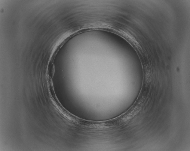 X0000077340990200611031751