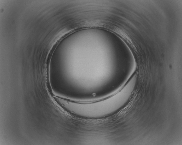 X0000077340992200611031751