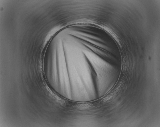 X0000077340998200611031751
