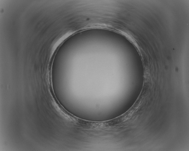 X0000077341003200611031751