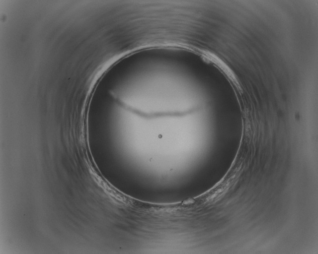X0000077341004200611031751