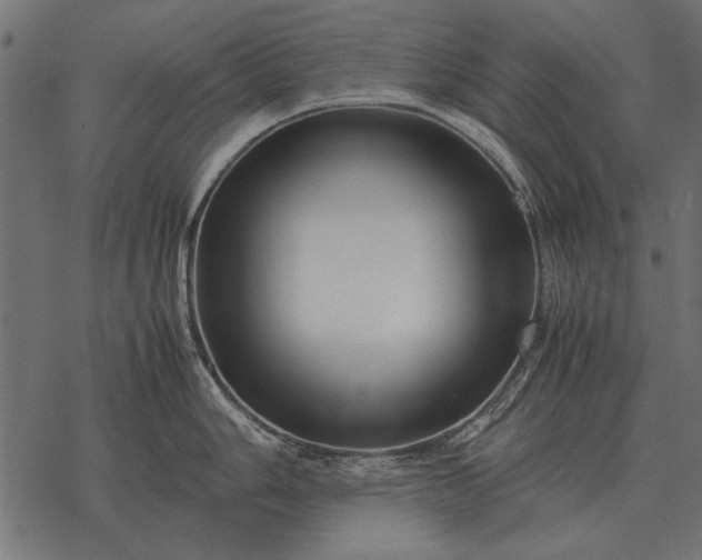 X0000077341006200611031751