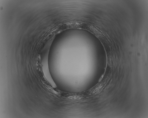 X0000077341010200611031750