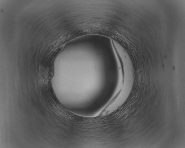 X0000077341012200611031750