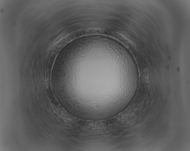 X0000077341015200611031750
