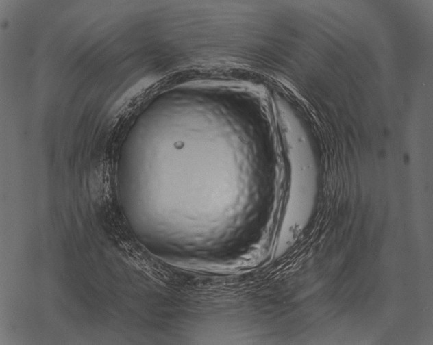 X0000077341016200611031750