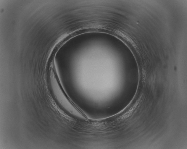 X0000077341029200611031750