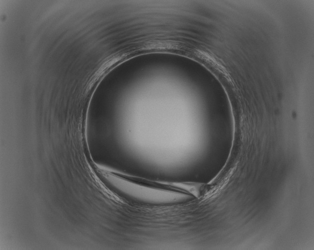 X0000077341033200611031750